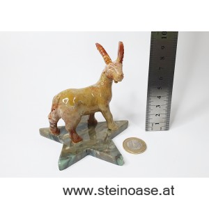 Sternzeichen STEINBOCK